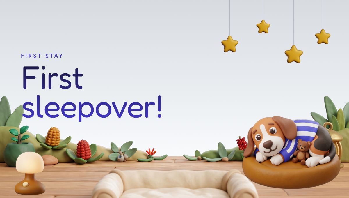 First sleepover report card header
