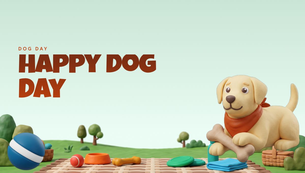 International Dog Day report card header