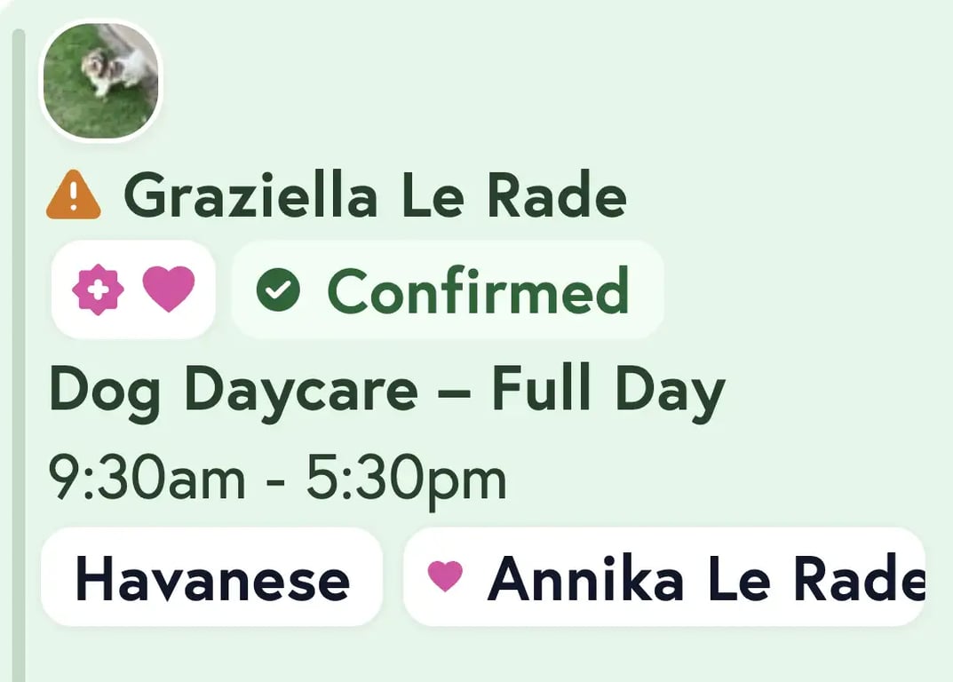 Appointment card showing pink add-ons badge for visual team reminder