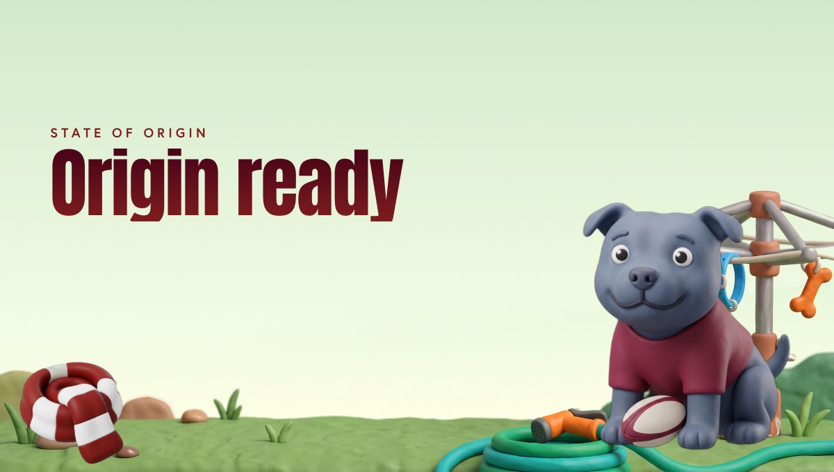 State of Origin report card header