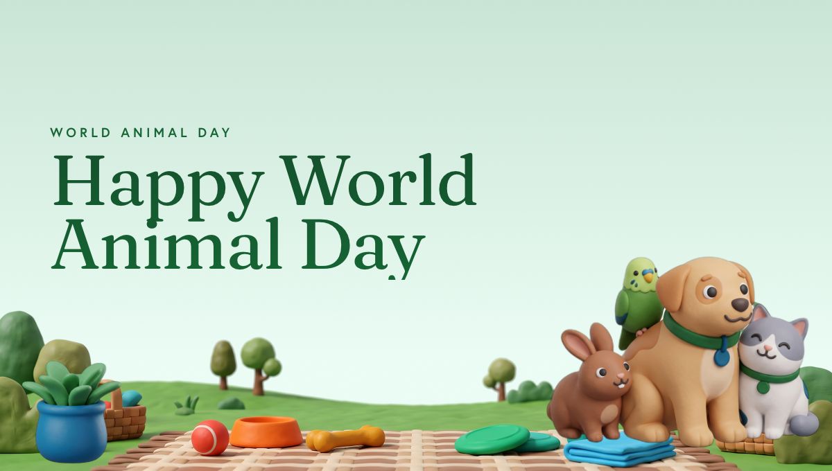 World Animal Day report card header