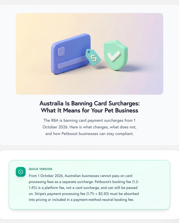 The card surcharge ban, explained