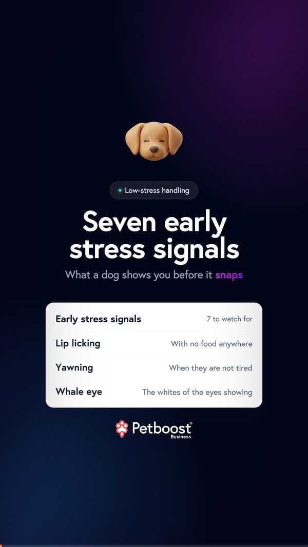 The signals a dog gives you first