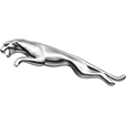 scrap local jaguar logo 1.png