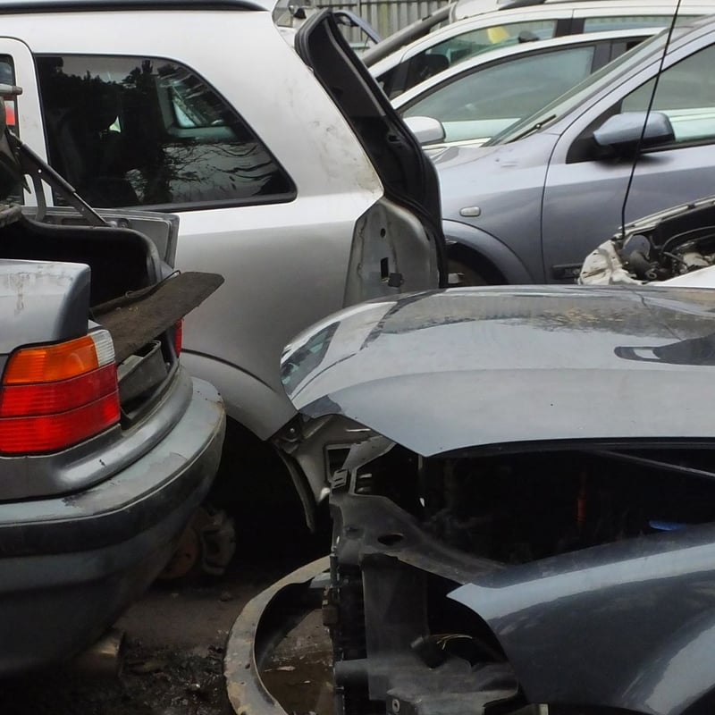 scrap local social august 2023 (8)