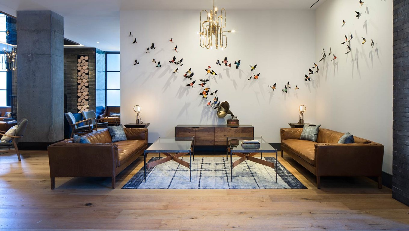 Birds | Hotel Van Zandt