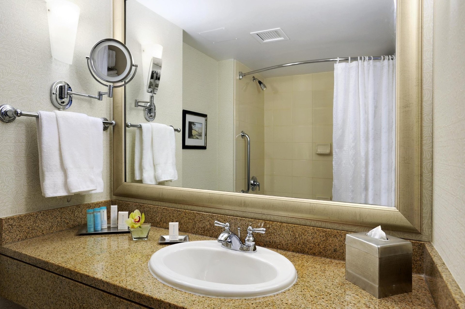 Suite Bathroom