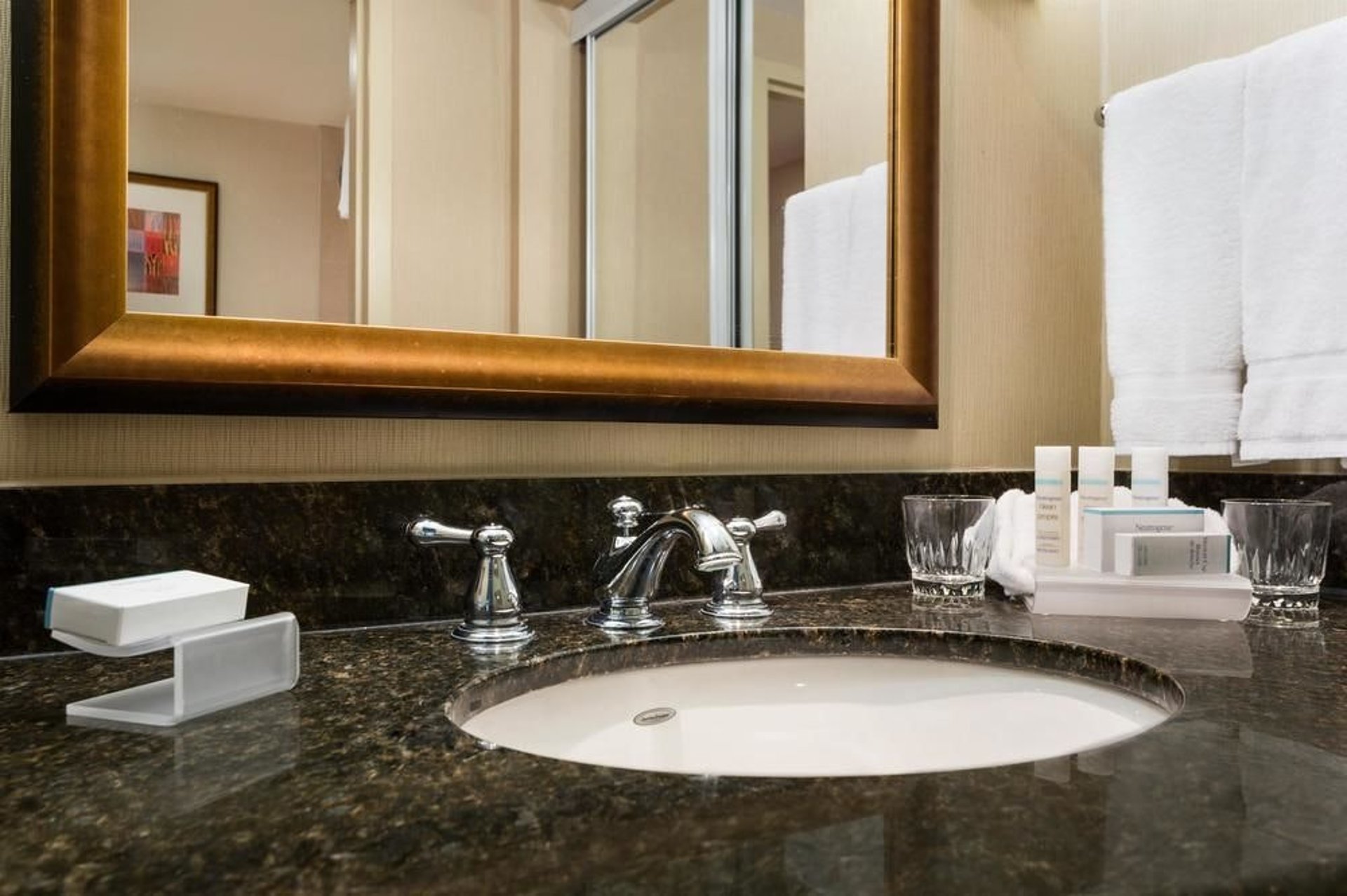 Suite Bathroom