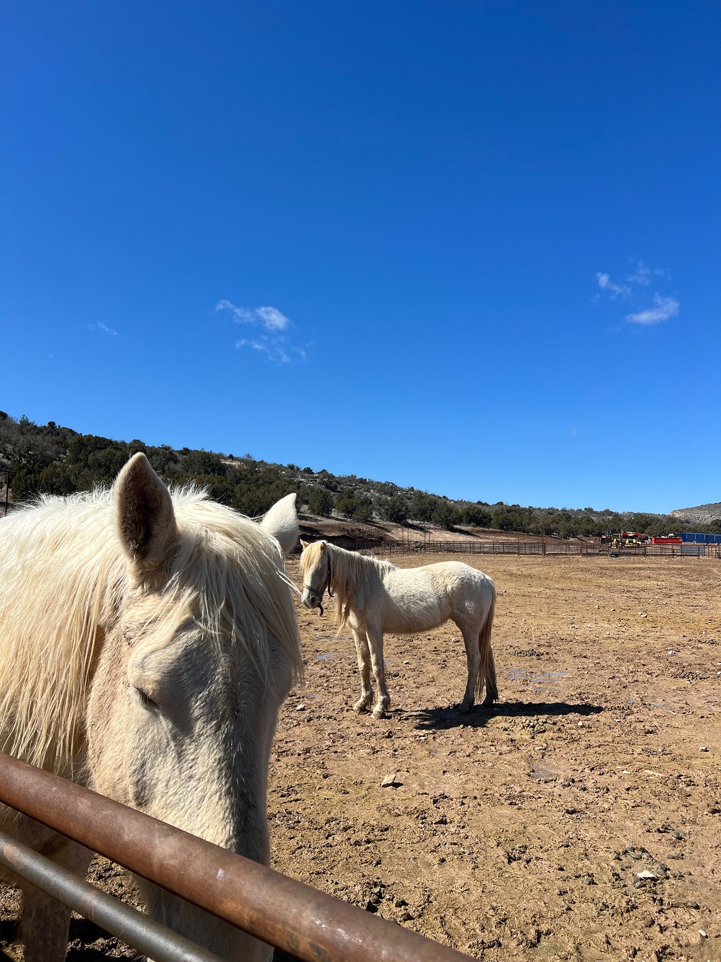 17.png | Grand Canyon Glamping Resort