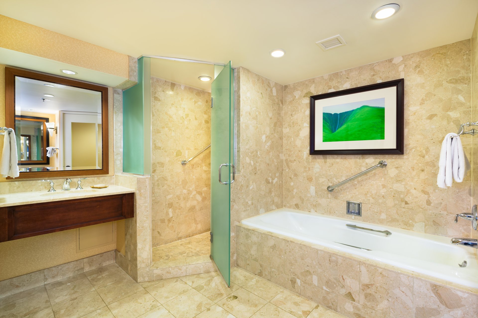Suite Bathroom