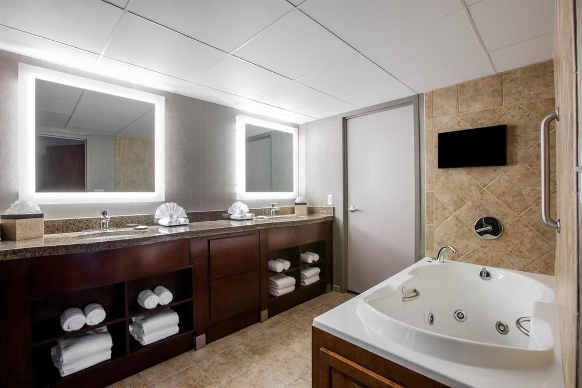 Suite Bathroom