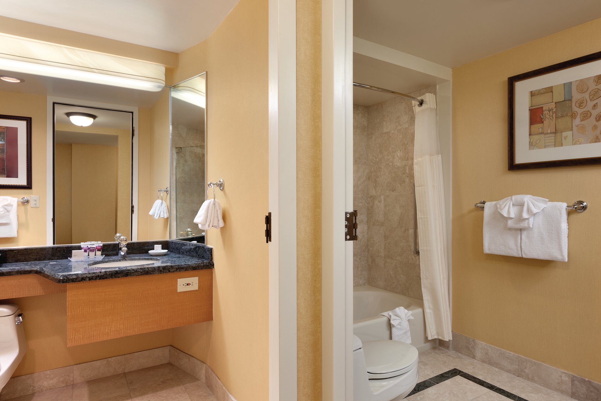 Executive and Premium Bathroom (2).jpg