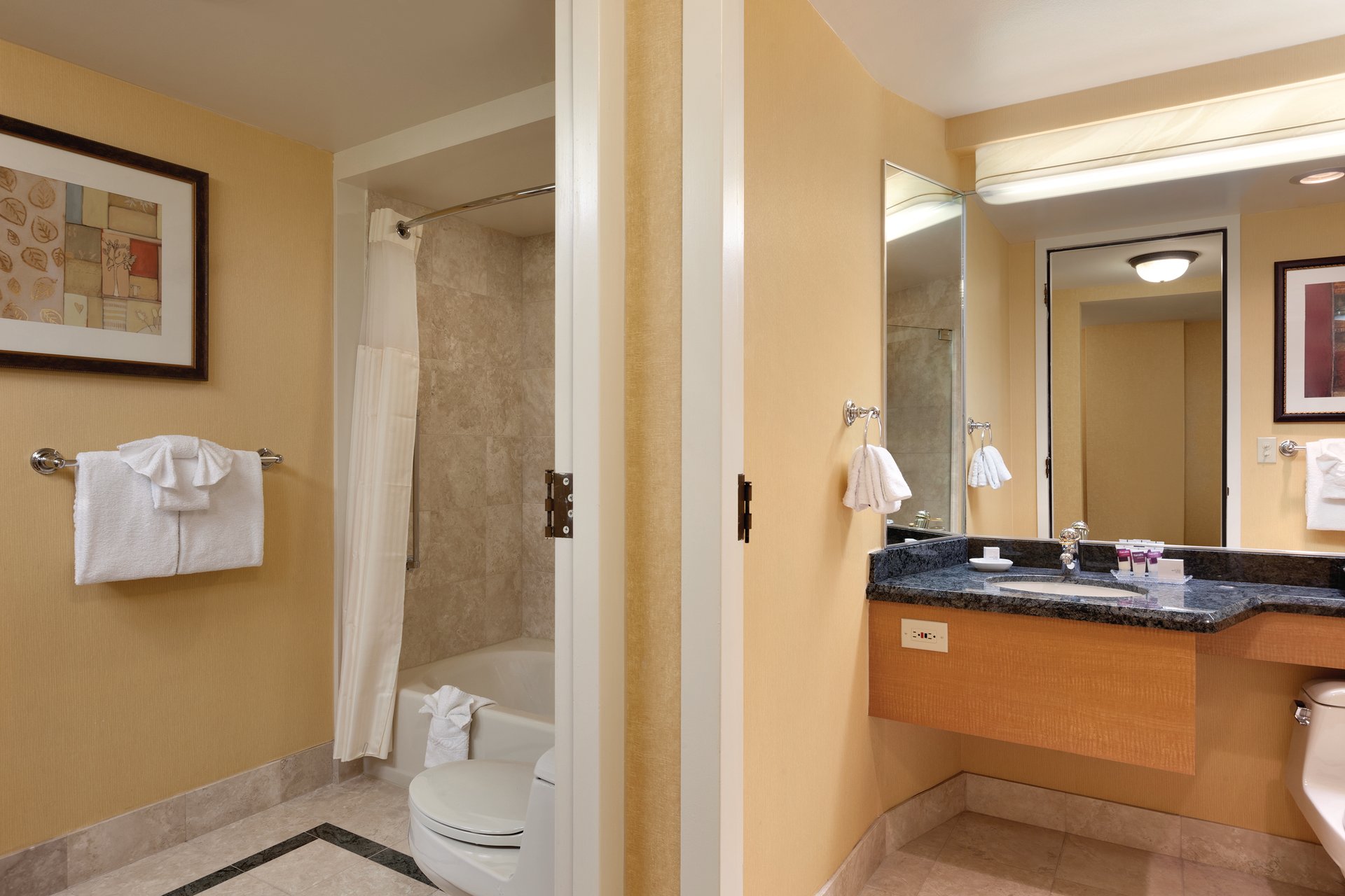 Executive and Premium Bathroom.jpg
