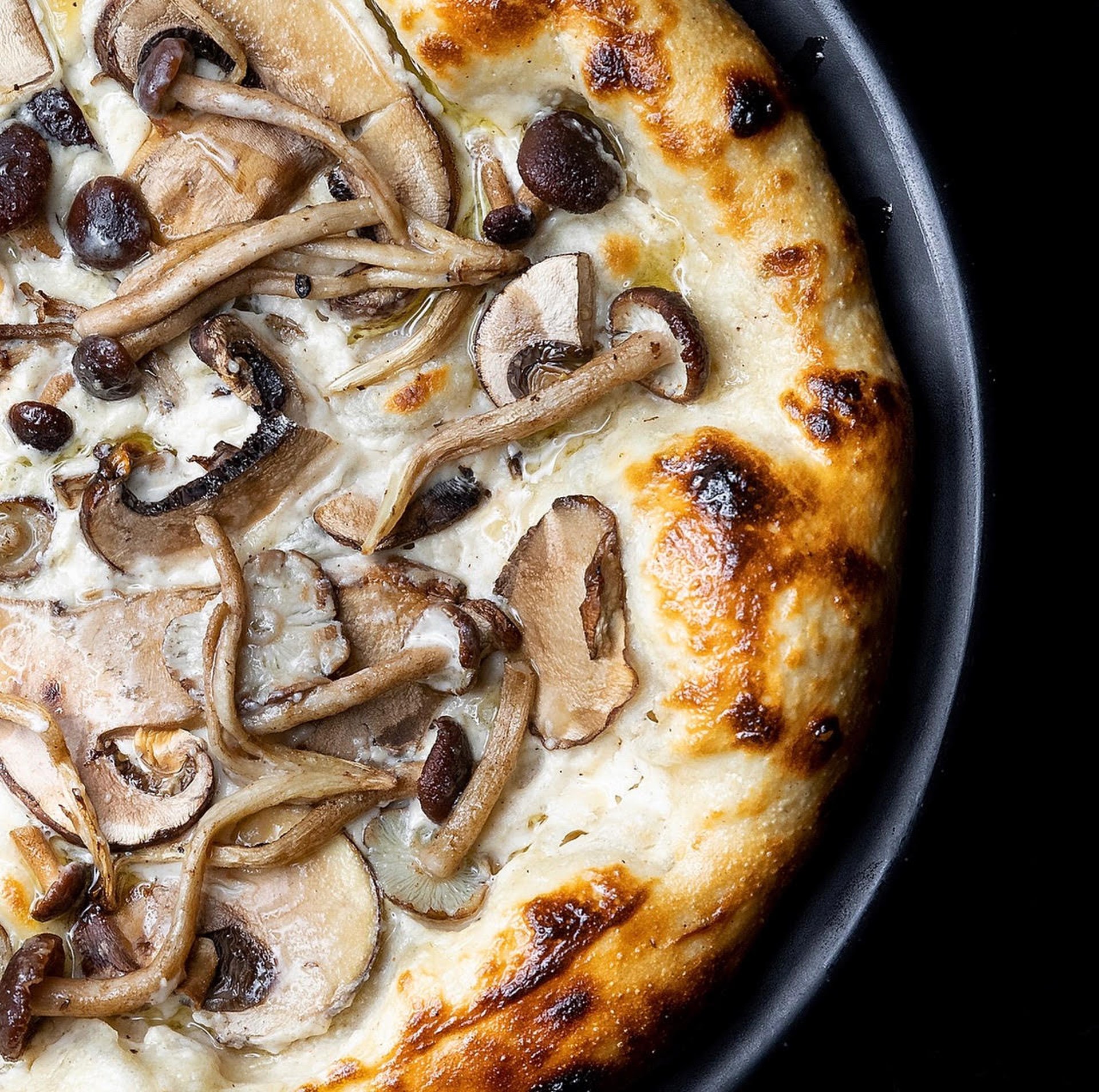 CRLV_TruffleMushroomBiancaPizza_Feb2022 .jpeg | Conrad Las Vegas at Resorts World