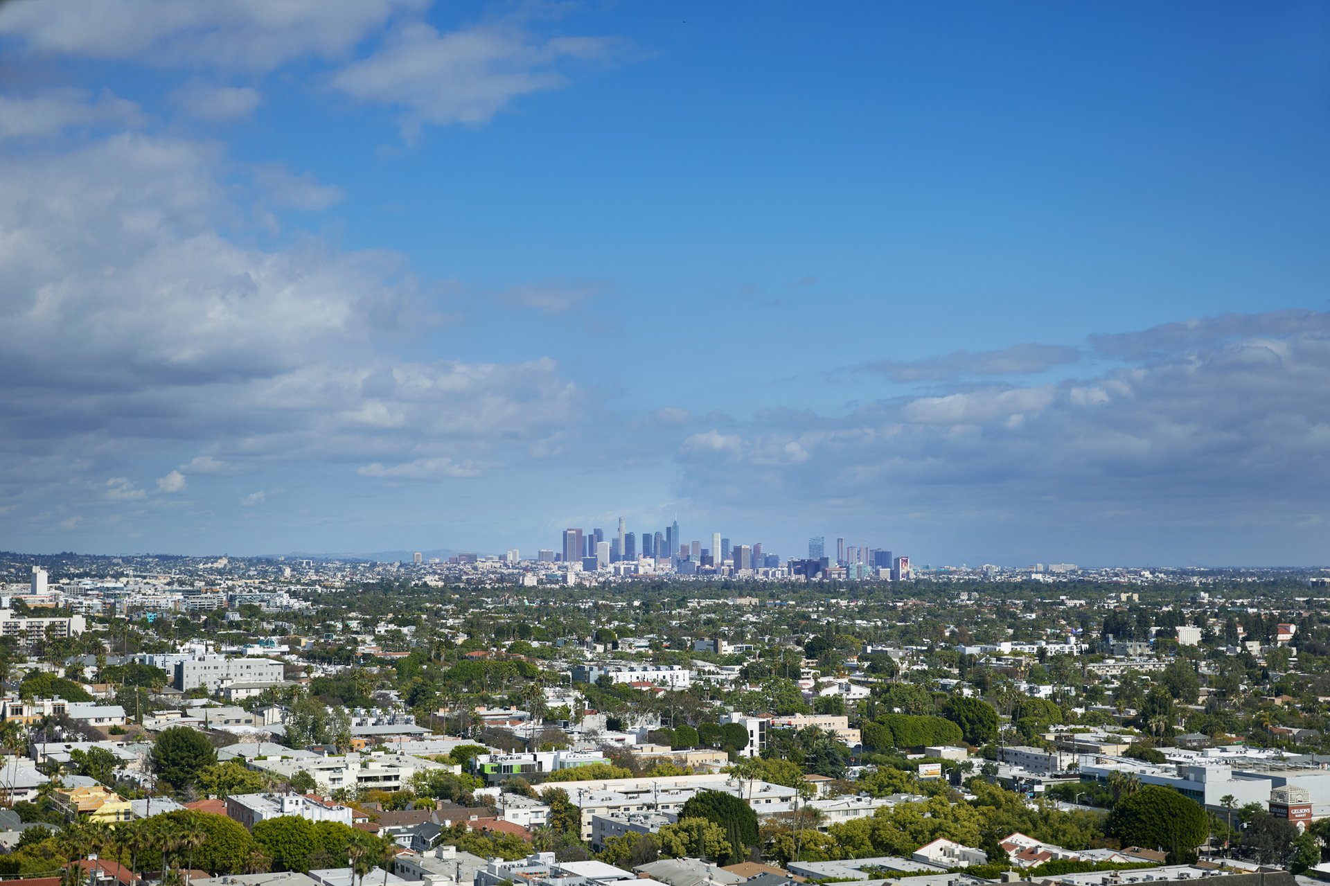 LA Skyline View | 1 Hotel West Hollywood