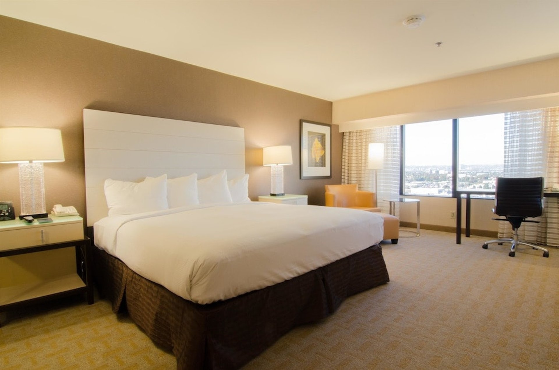 eb5e2988_z.jpg