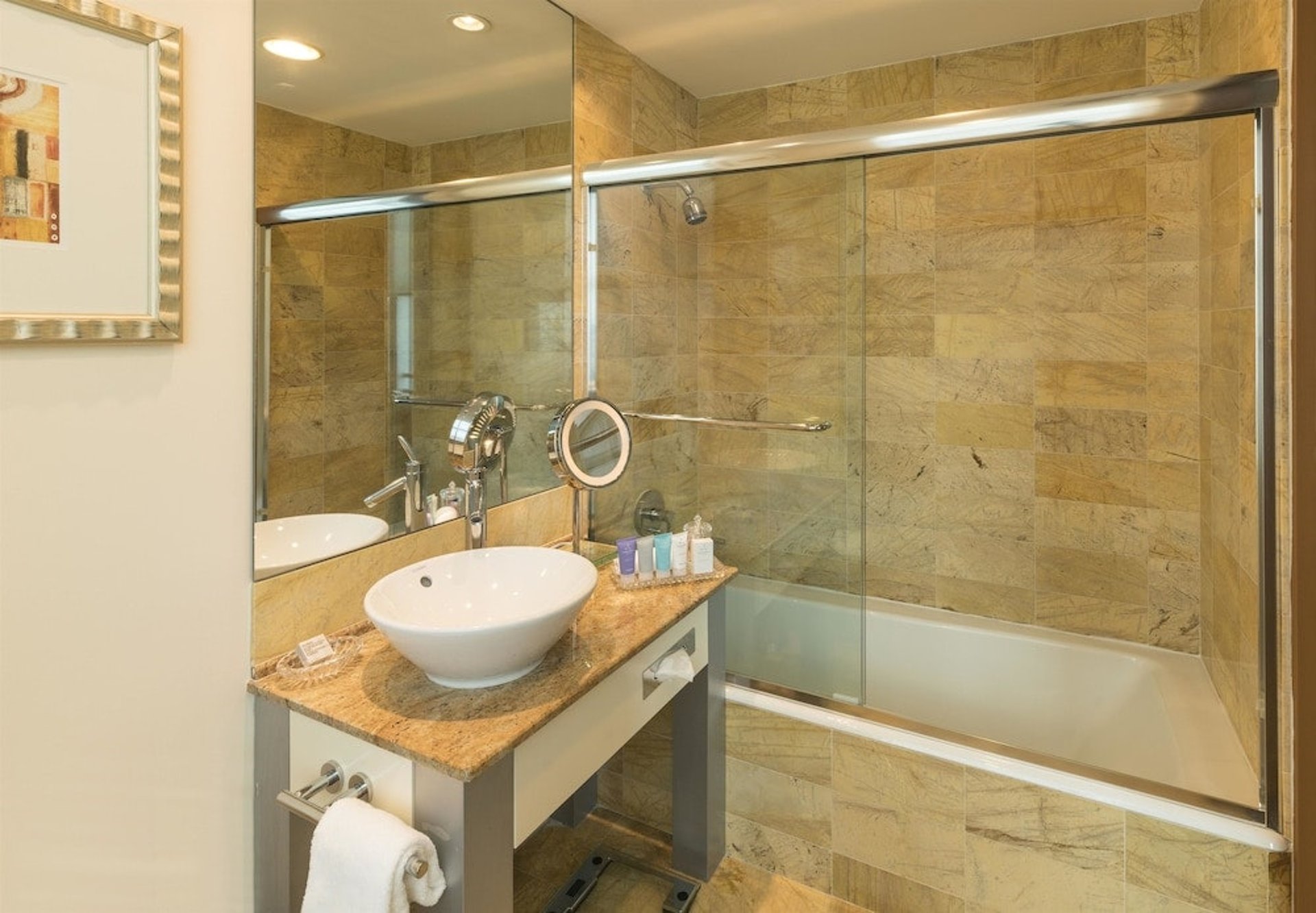 Suite Bathroom