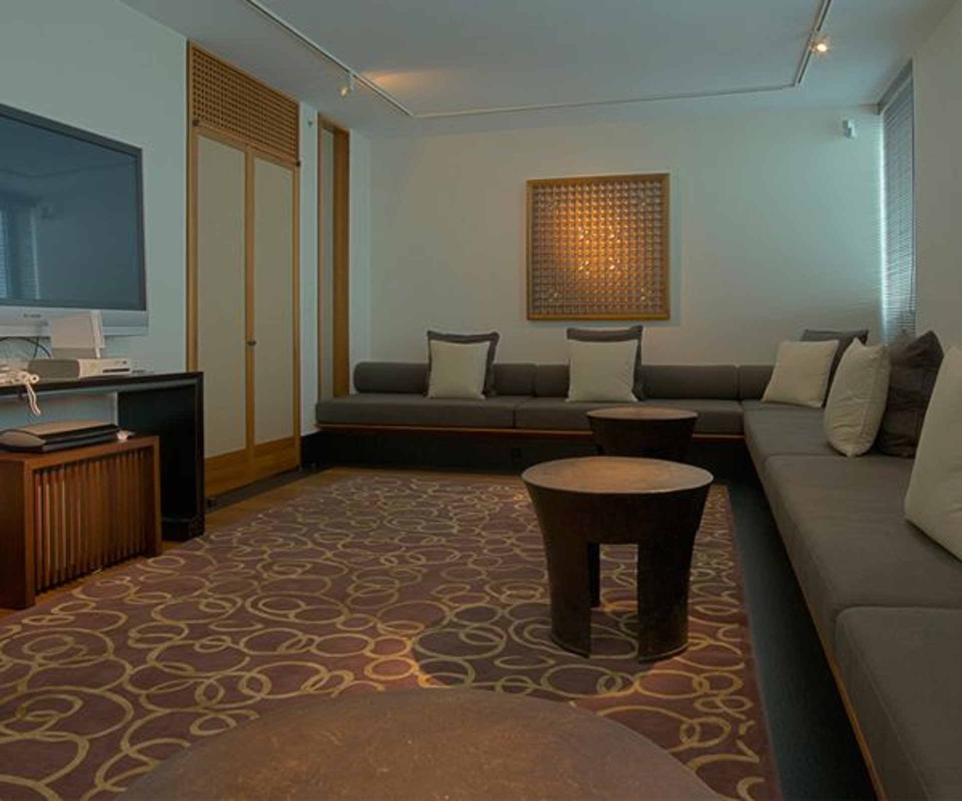 Entertainment Area