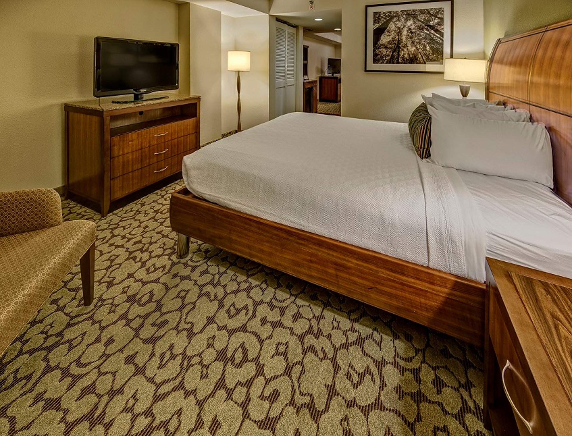 KING SUITE