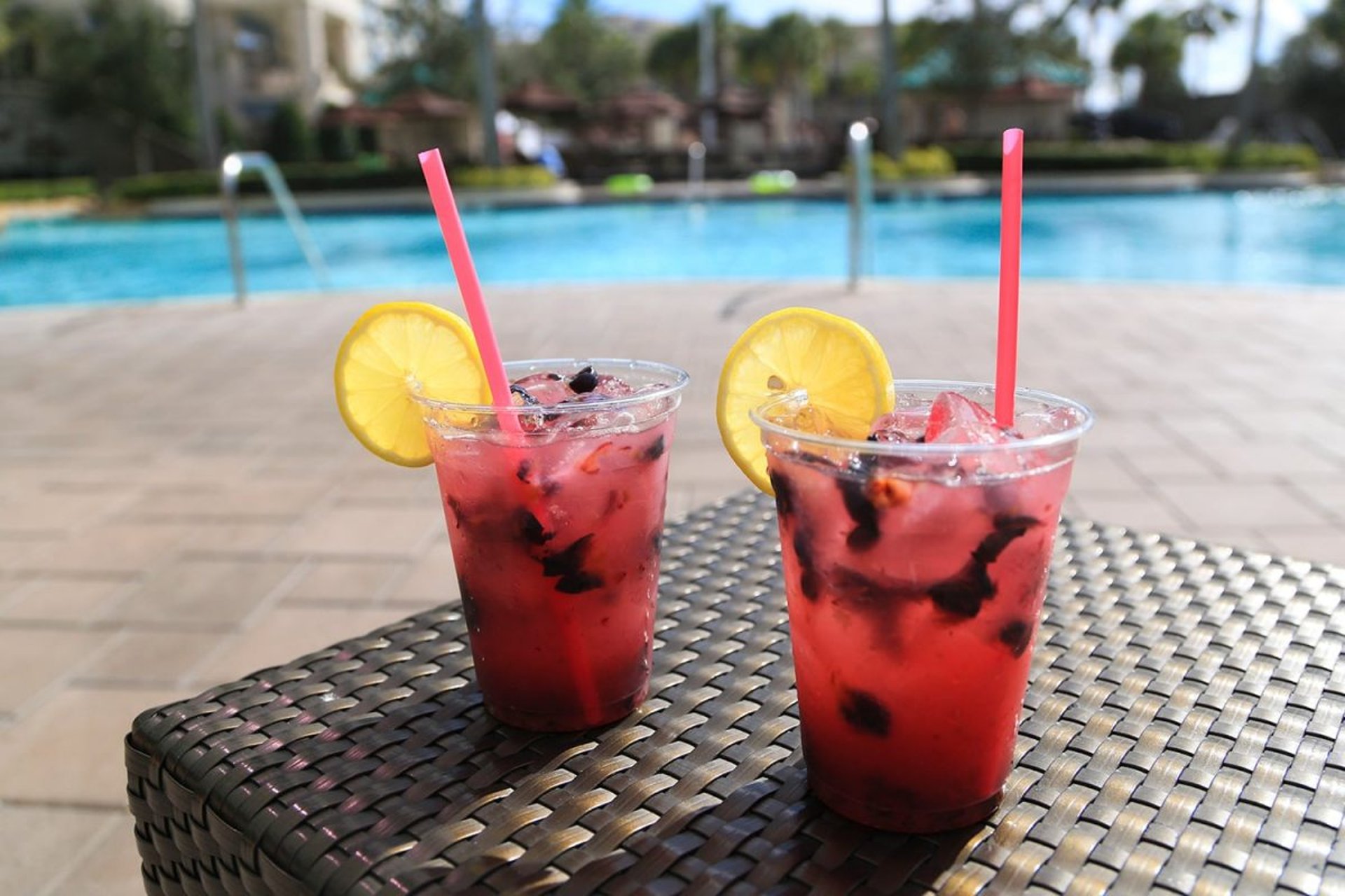 HBC_Beech_Dining | Signia by Hilton Orlando Bonnet Creek