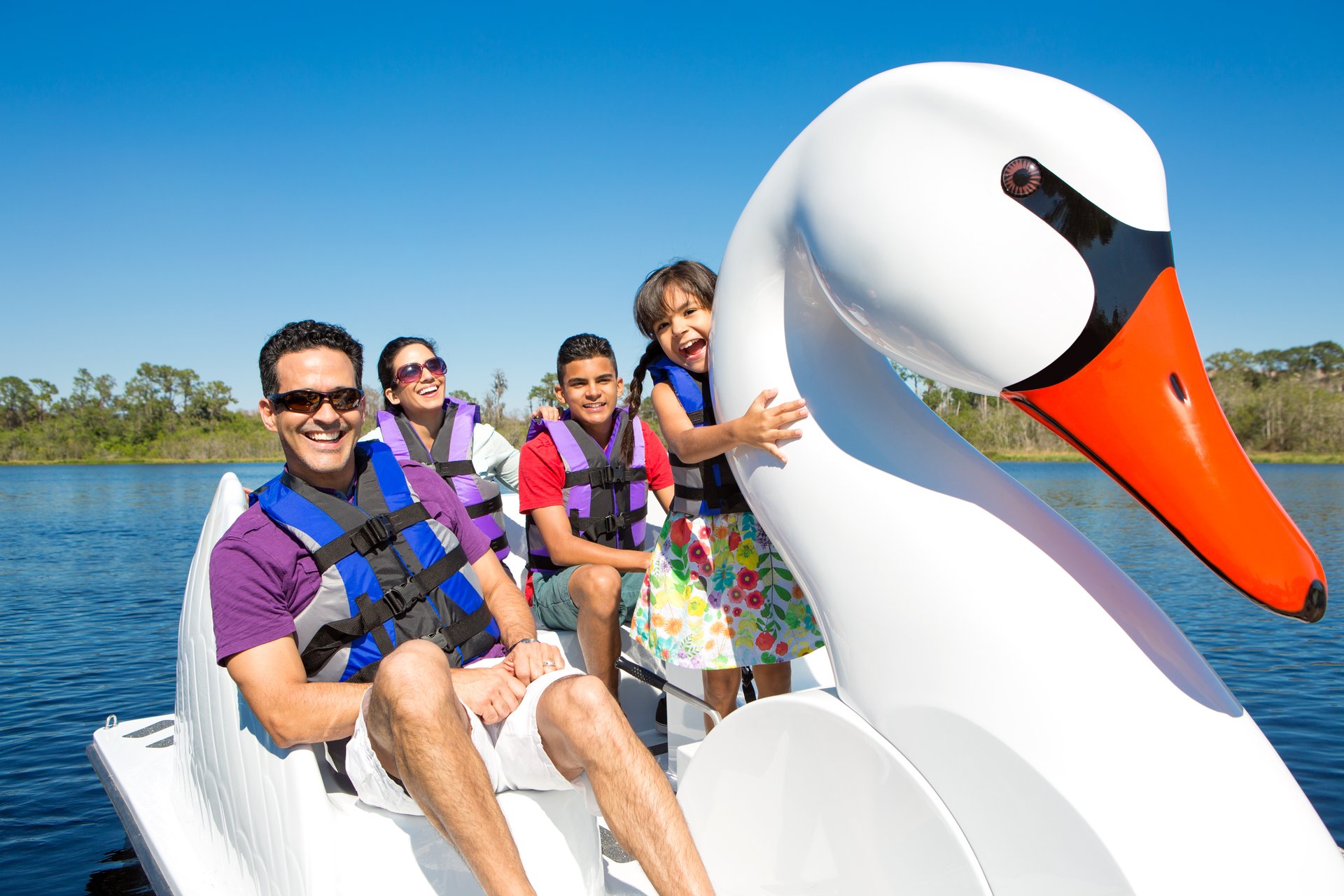 Swan Boat