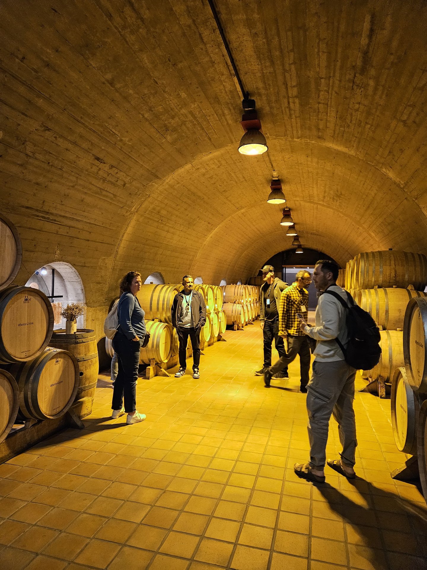 Gastronomy Retreat - Vineyard Visit