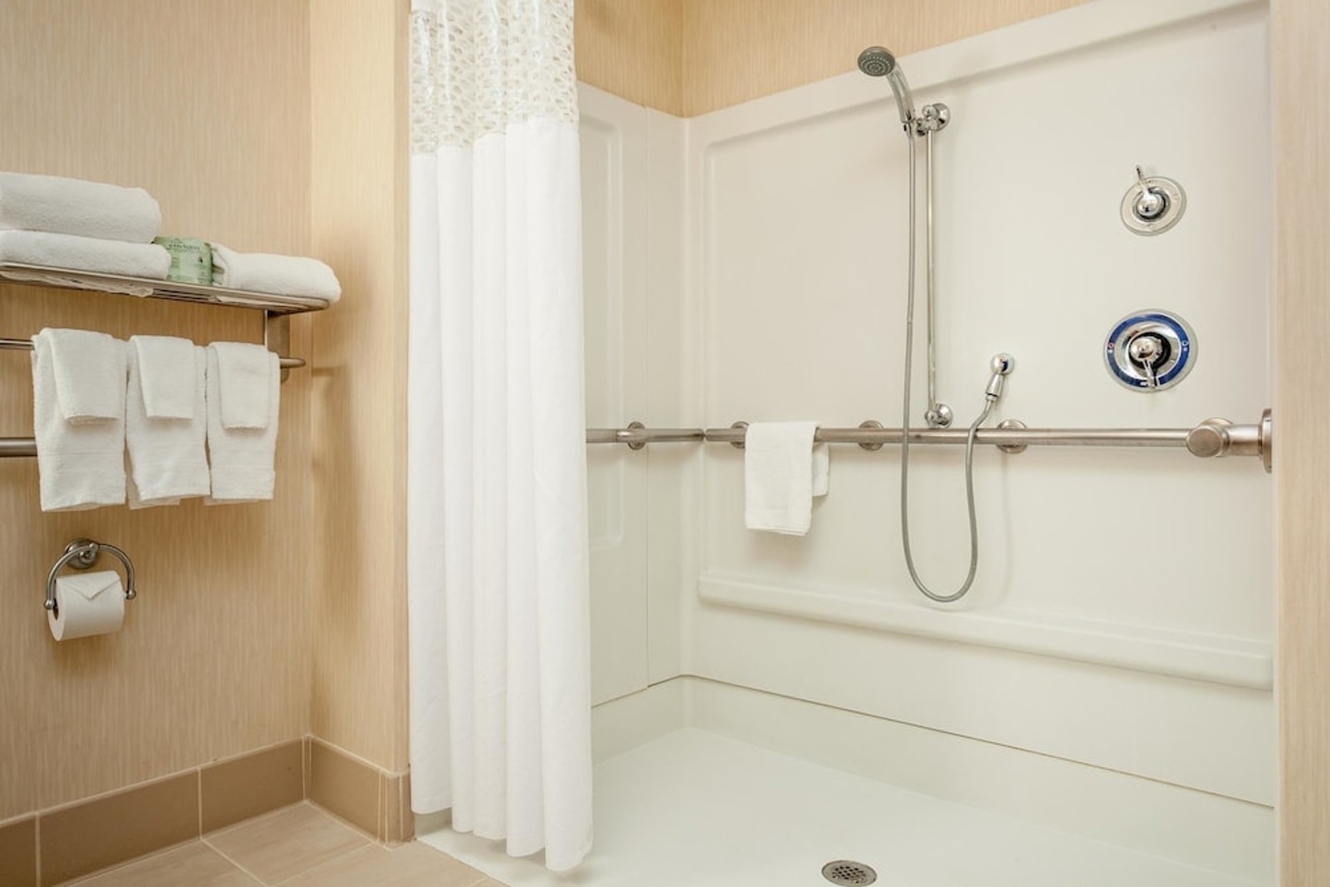 Accessible Suite Shower