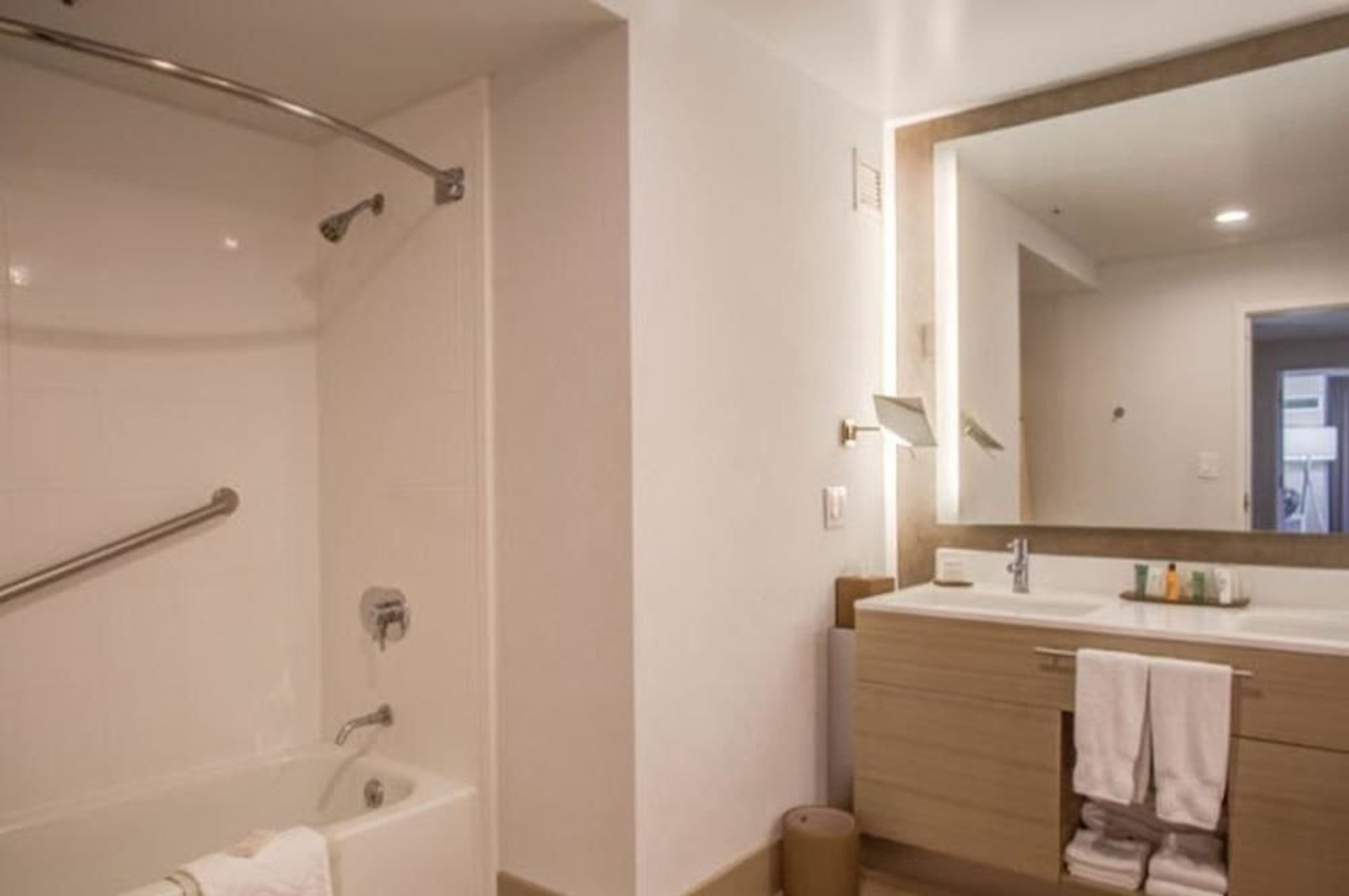 Suite Bathroom