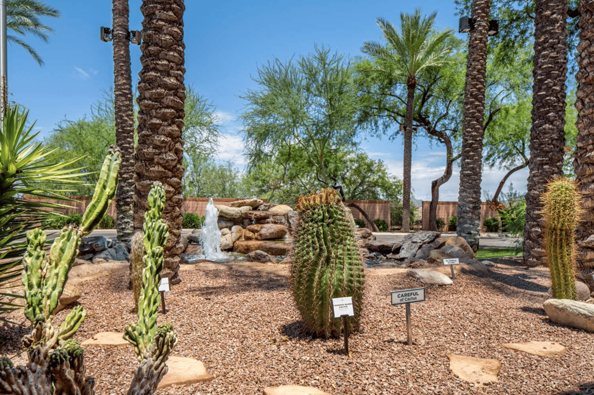 Cactus | Hilton Vacation Club Scottsdale Villa Mirage