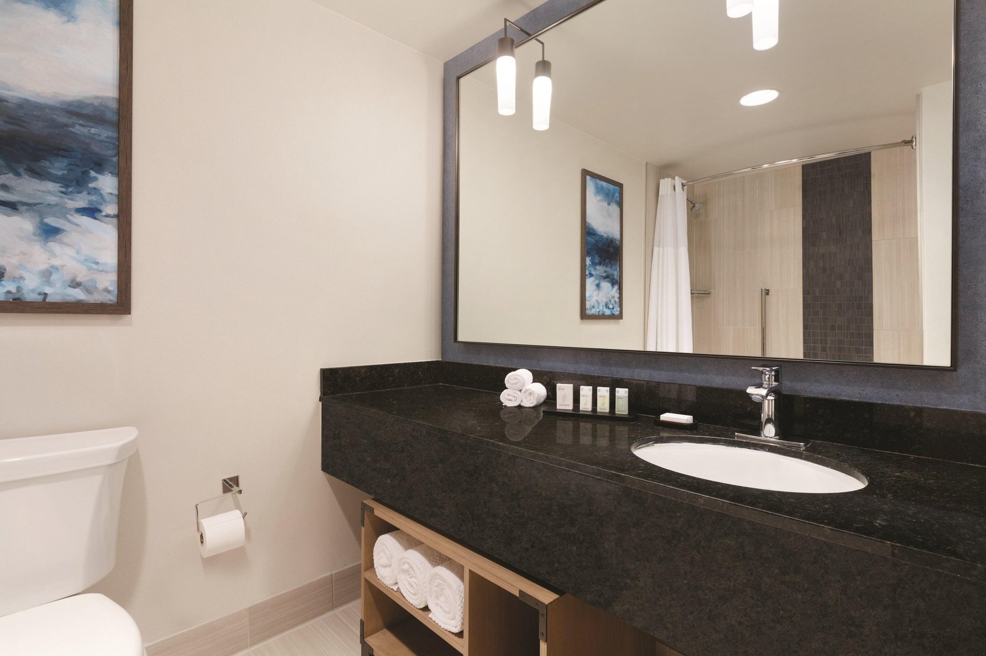 Suite Bathroom