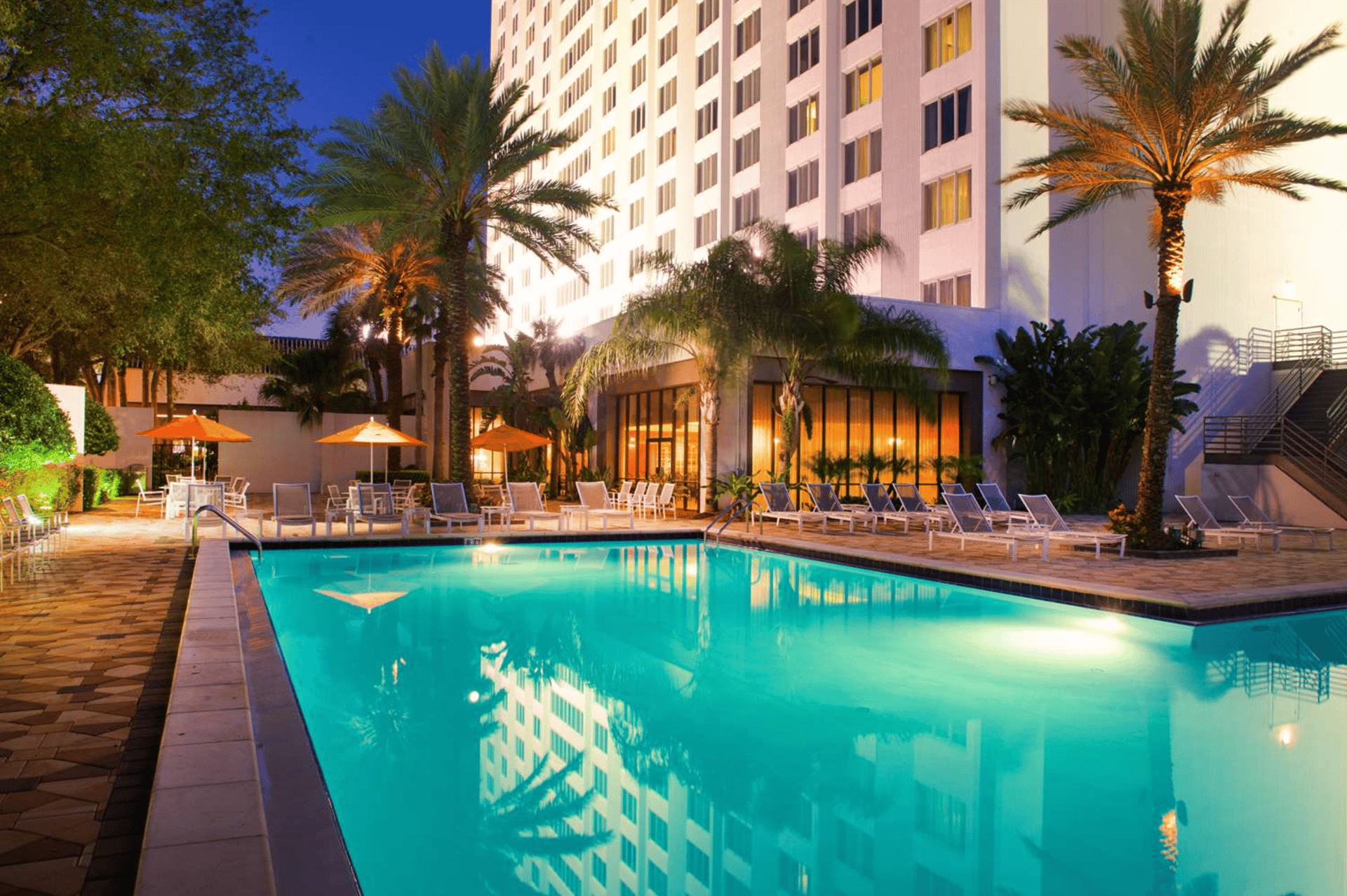 Night Pool | Hilton St. Petersburg Bayfront
