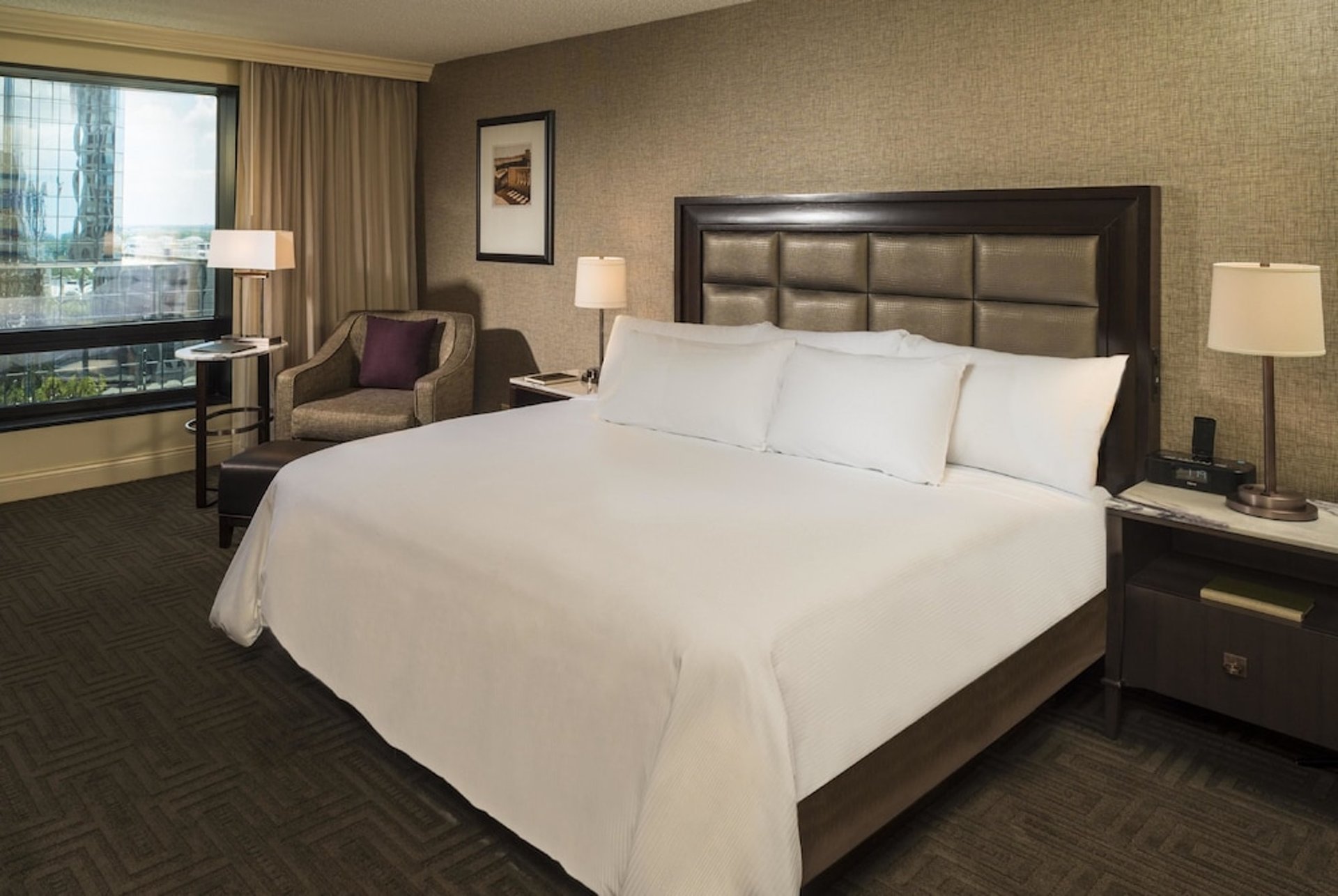 1 King Bed