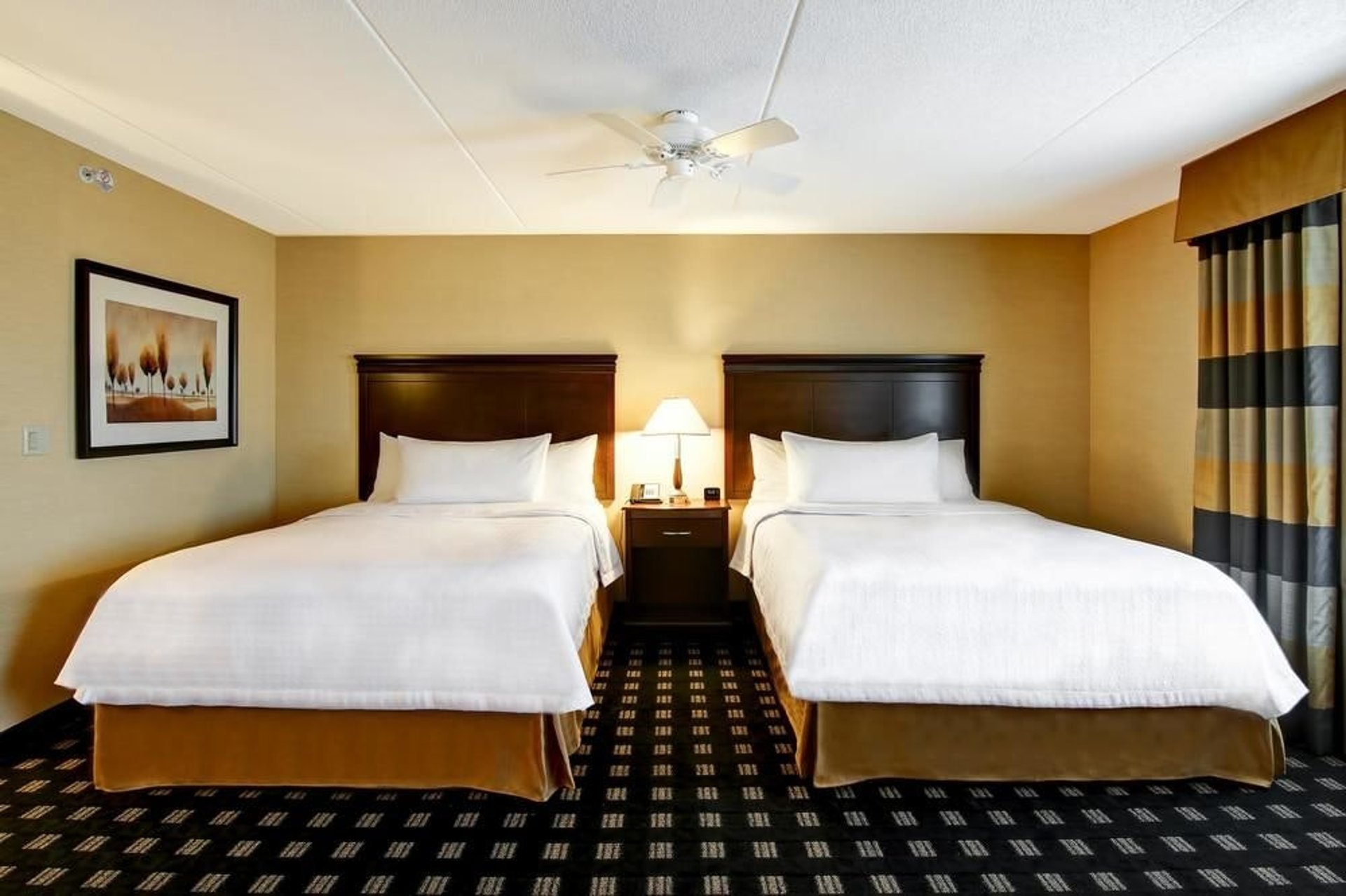 2 Queen Bed Suite