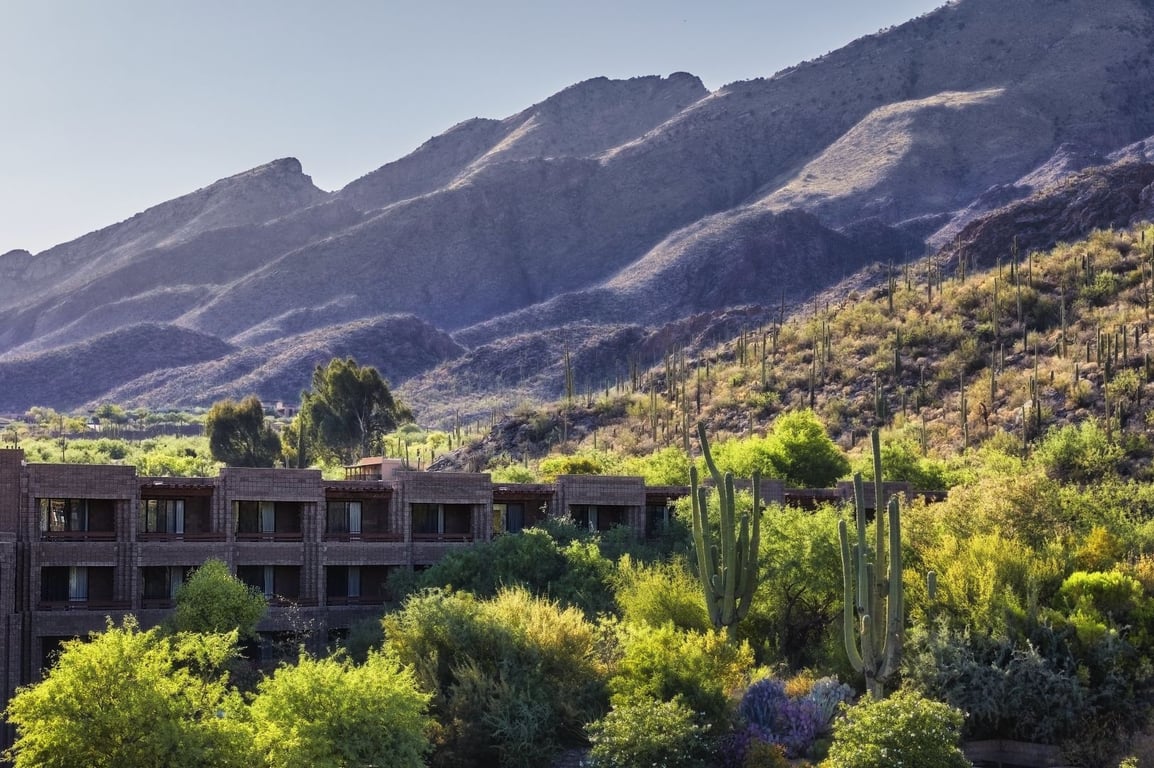 Desert | Loews Ventana Canyon Resort