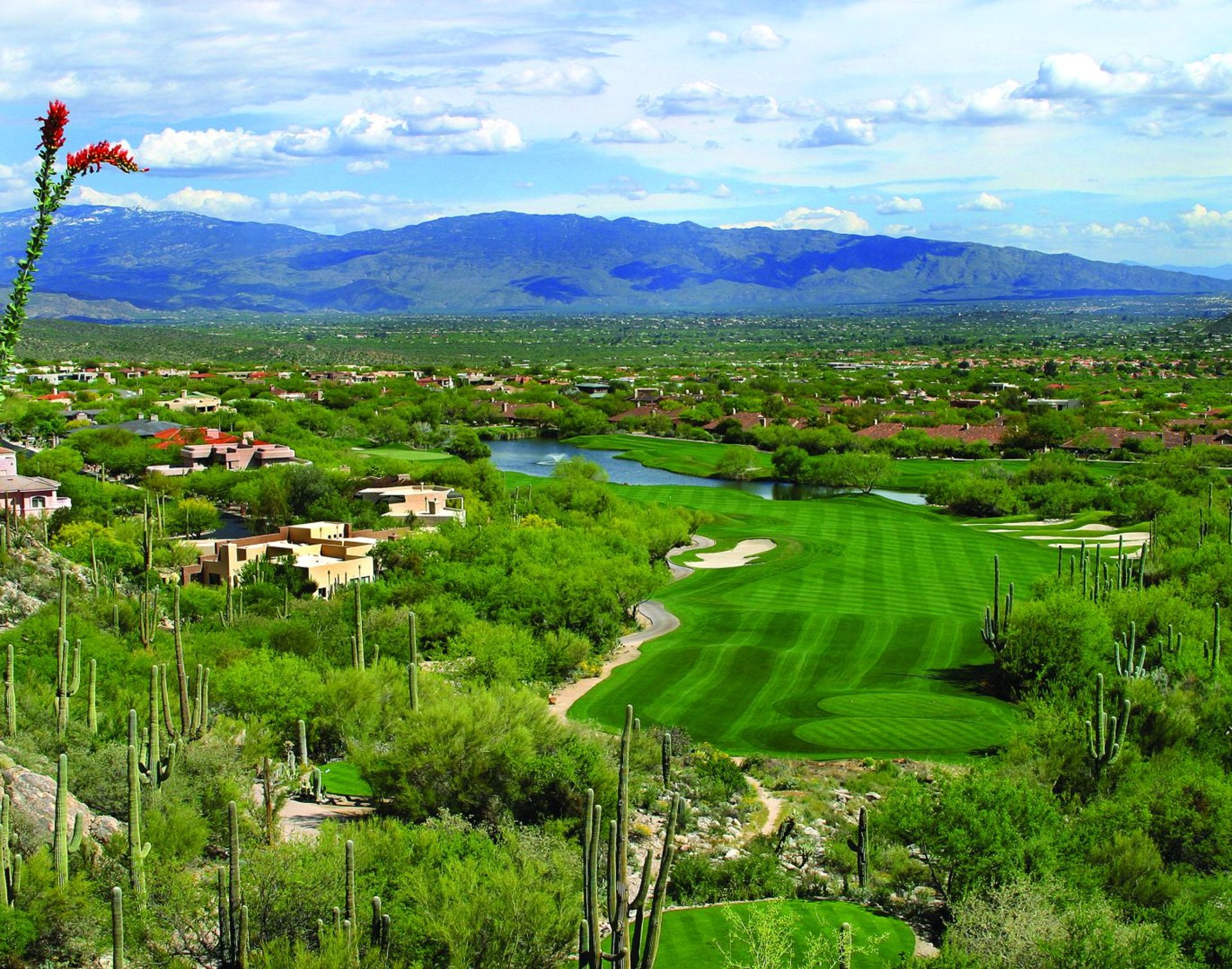 Golf | Loews Ventana Canyon Resort