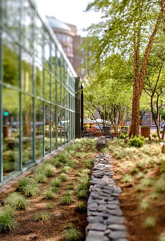 Outdoor Grounds | Park Hyatt Washington