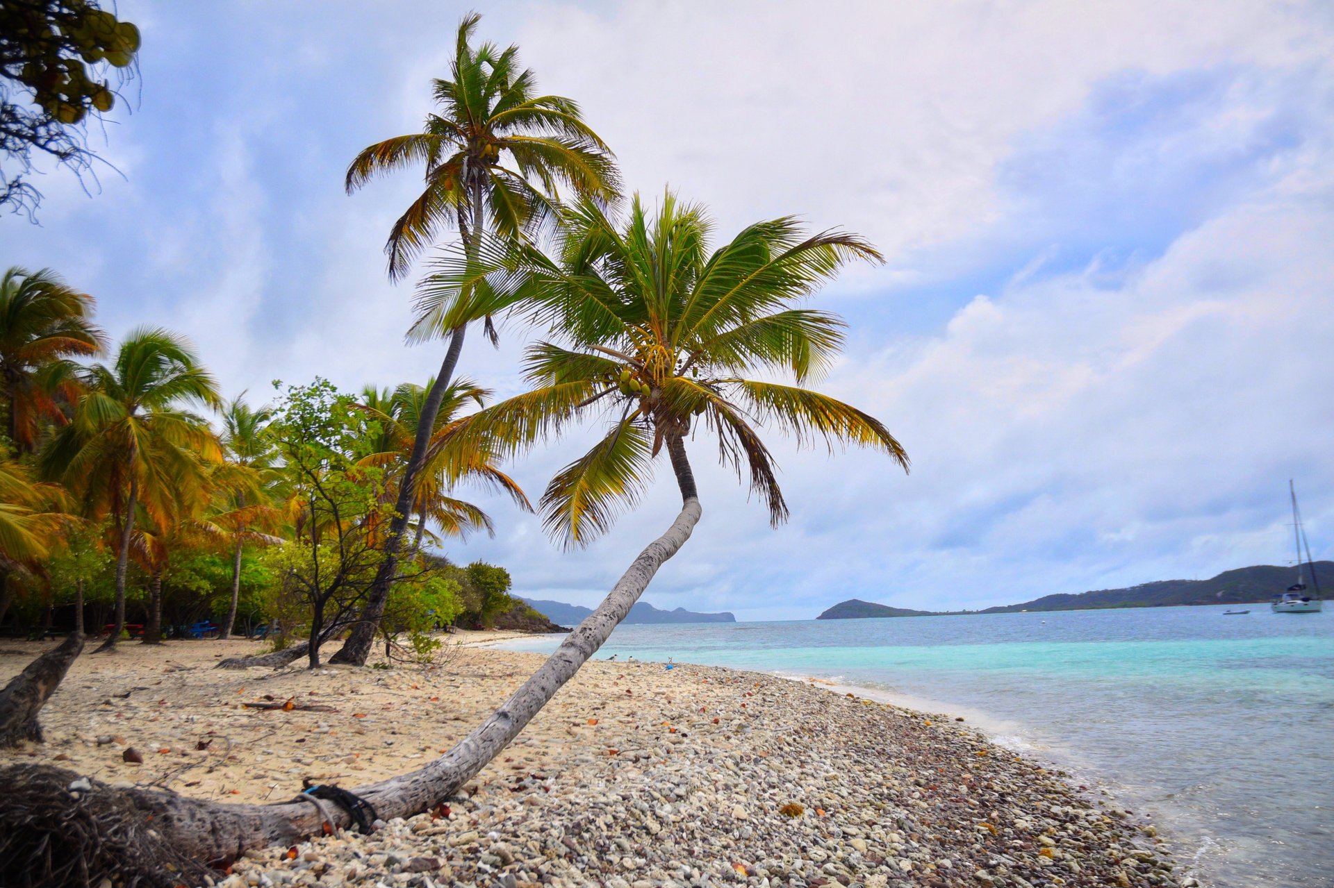 West Indies