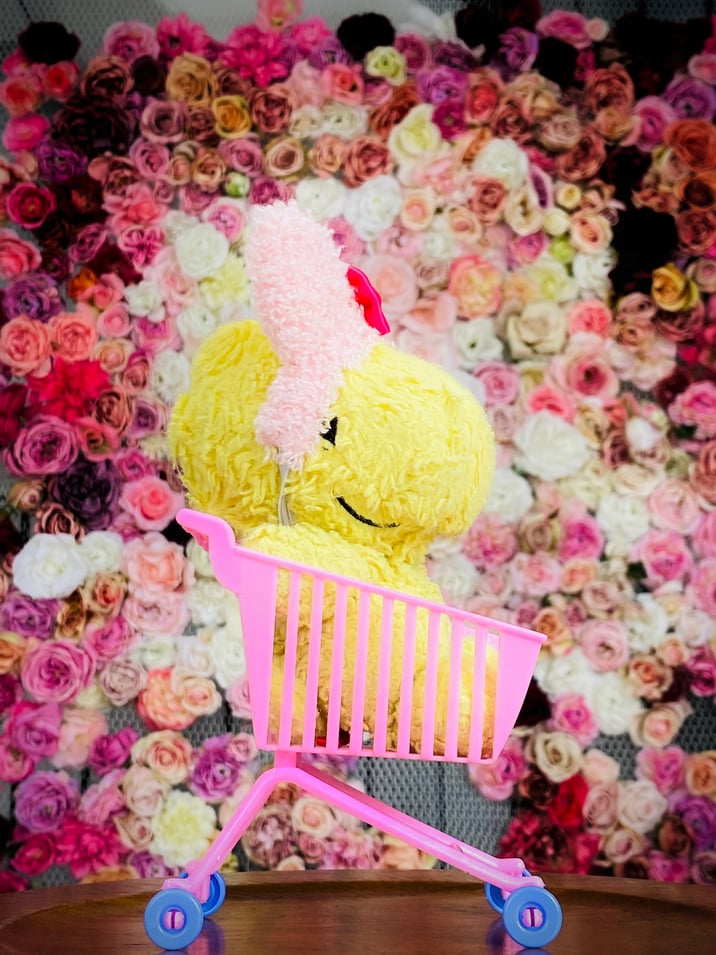 [柳丸] 柳丸 2022年04月写真合集