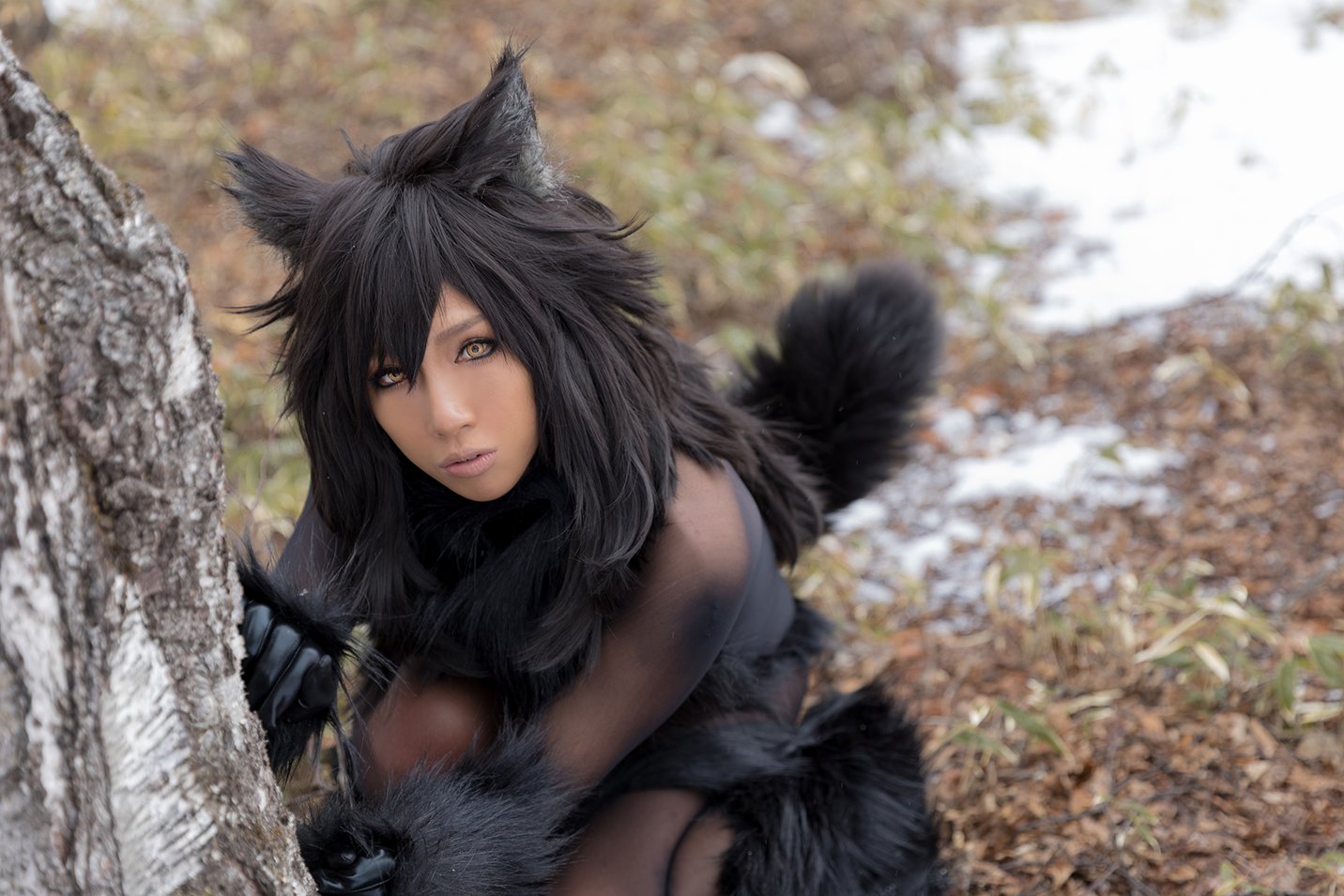 Nonsummerjack - Timber wolf