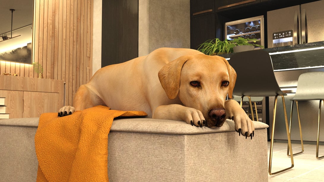 [Whitenightmare] Daily Routine 1-在线ACG，视频动画，漫画，动漫，绅士游戏，3D漫画，福利图片