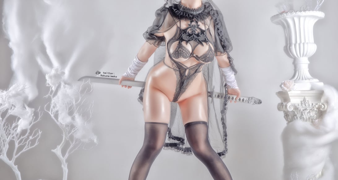 Hokunaimeko 2B 蕾丝-在线ACG，视频动画，漫画，动漫，绅士游戏，3D漫画，福利图片