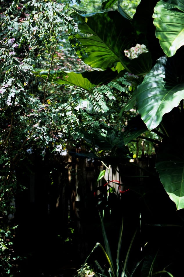 2006.03.24 SF-No.363 Reon Kadena(久纱野水萌)