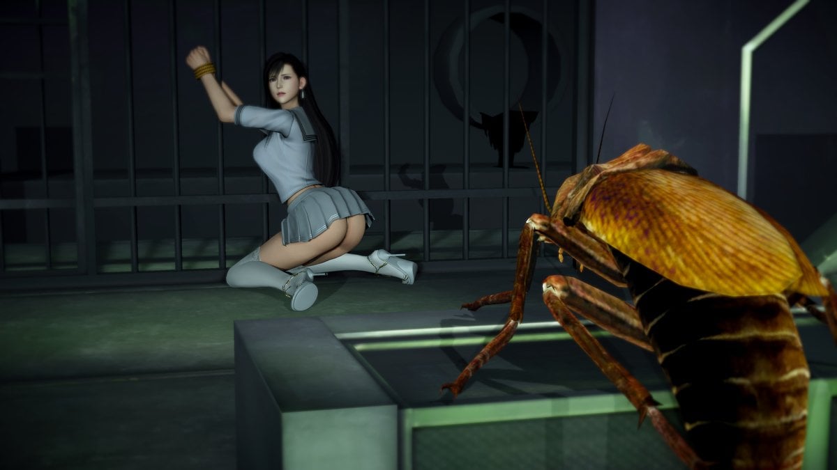 [HoneyHappy] Tifa vs Roach