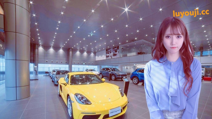 亚洲之子(Son.Of.Asia) v70 中文完结稳定版 QSP游戏+如诗如画MOD 65G