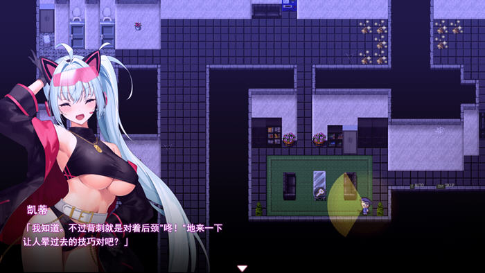 盗贼猫的乍精记录 v1.0.1 AI汉化版 潜入类RPG游戏 6G