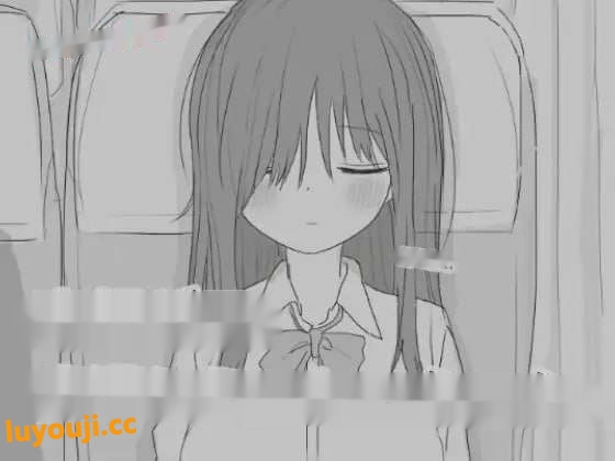 [互动SLG/黑白] 夜行バス痴漢シミュレーション 机翻汉化版 [1G]