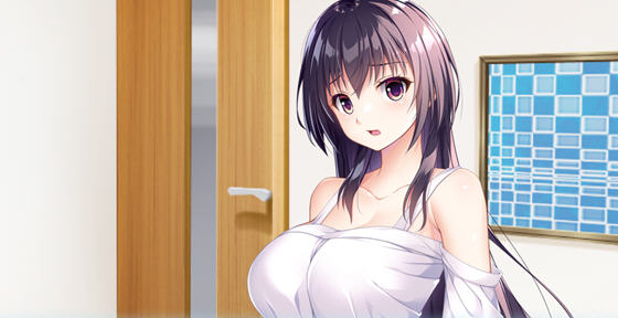 幸乃下萤的恋青日和:与义姐的秘密同居 v1.0 AI汉化版 ADV游戏+存档-在线ACG，视频动画，漫画，动漫，绅士游戏，3D漫画，福利图片