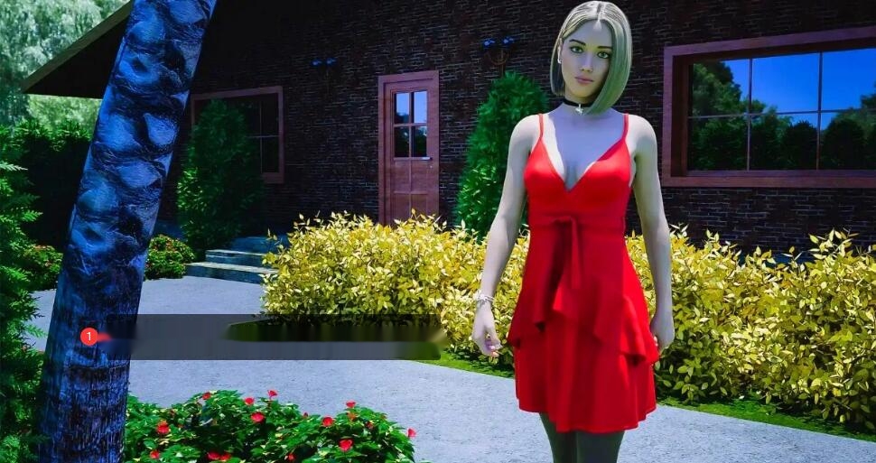【SD/3D/欧美SLG/汉化】特别要求:腐败之网 V2.4 双端汉化版【3G】