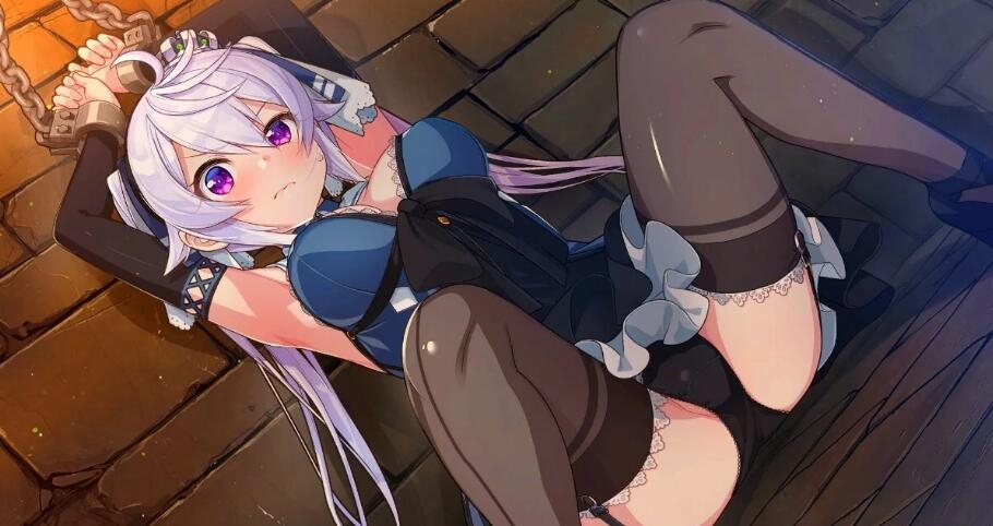 [电脑] 【PC/2D/SLG/中文】囚狱公主-墮入圈套的少女们 STEAM官方中文版【880M】