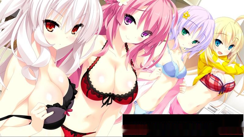 [拔作ADV/纯爱] 宿星的女朋友2 destiny star girlfriendV1.0.0H STEAM官中+全CG 1G